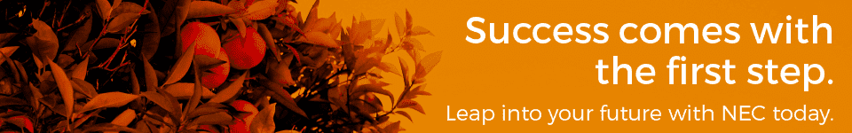 nec_banner_tagline1 nec_banner_tagline1