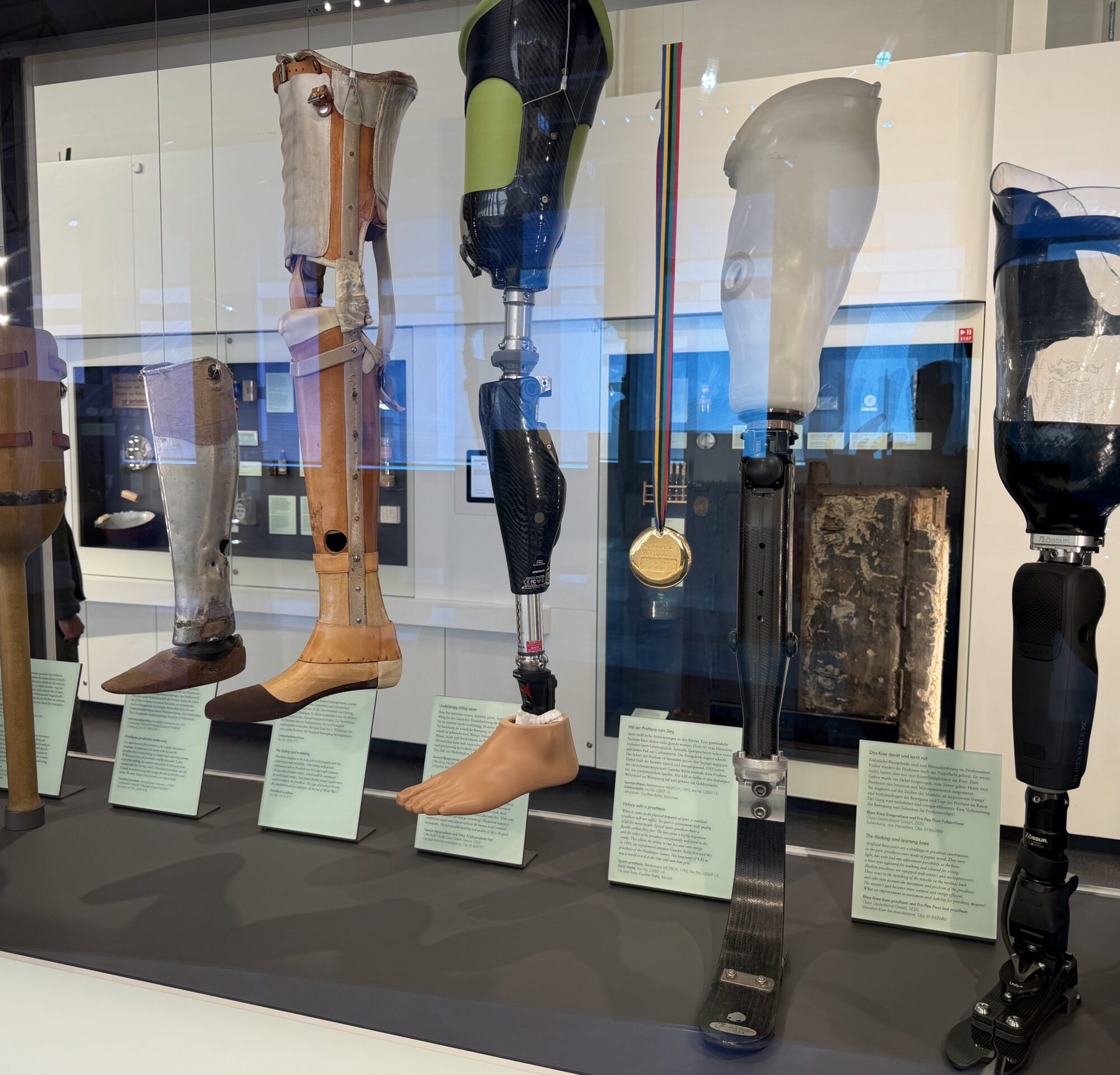 Display case with multiple prosthetic legs and artificial limbs on stands, including leather and carbon-fiber designs, arranged in a row for a museum exhibit.