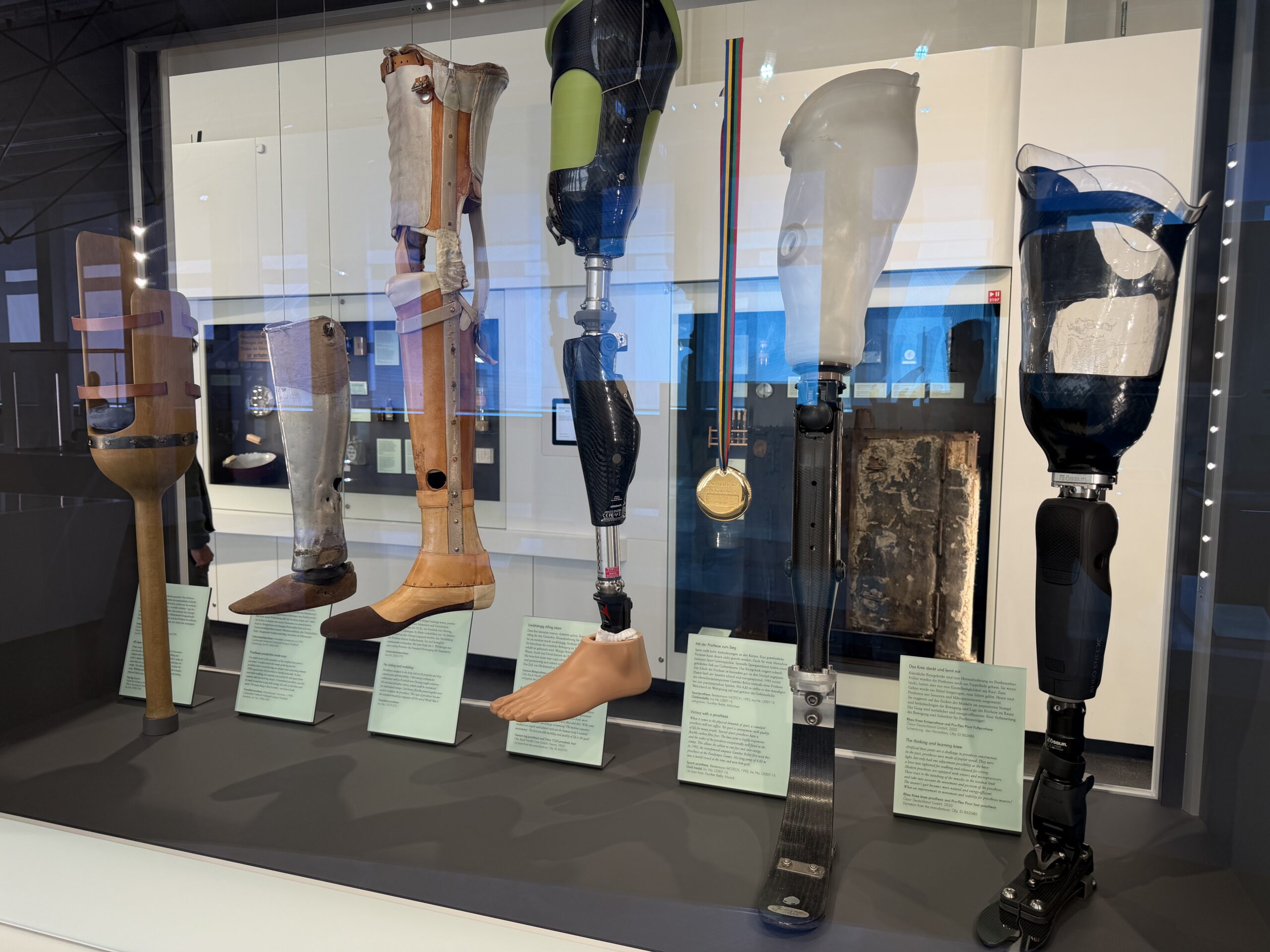 Display case with multiple prosthetic legs and artificial limbs on stands, including leather and carbon-fiber designs, arranged in a row for a museum exhibit.